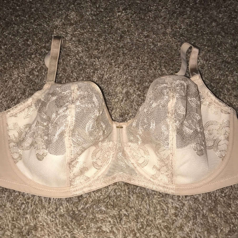 Pale taupe, embroidered net-like bra